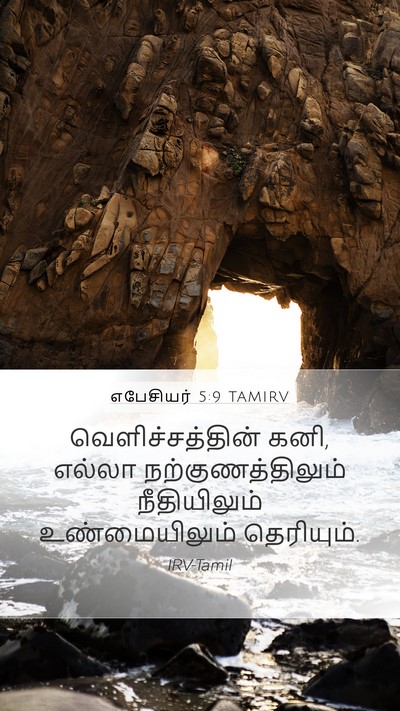 எபேசியர் 5:9 TAMIRV Bible Verse Image