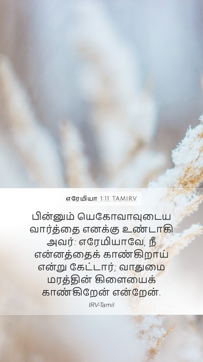 எரேமியா 1:11 TAMIRV Mobile Phone Wallpaper - பின்னும் - Mobile Bible Verse Wallpaper