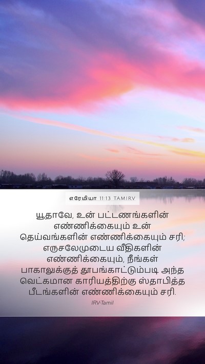 எரேமியா 11:13 TAMIRV Bible Verse Image