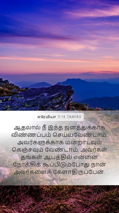 எரேமியா 11:14 TAMIRV Bible Verse Image