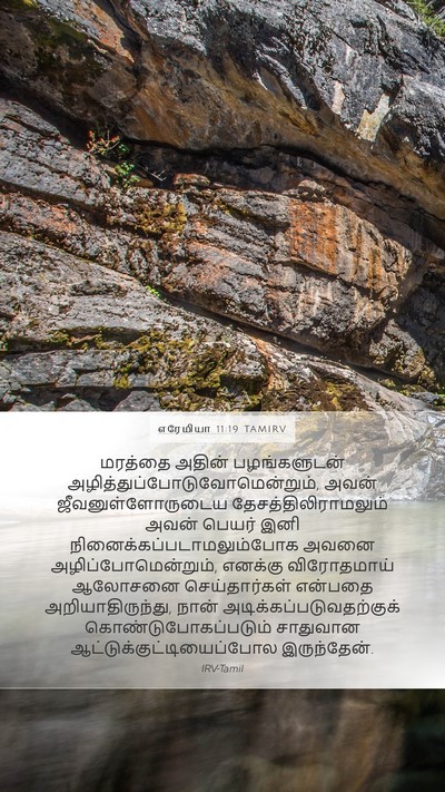 எரேமியா 11:19 TAMIRV Bible Verse Image