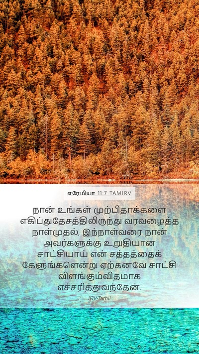 எரேமியா 11:7 TAMIRV Bible Verse Image