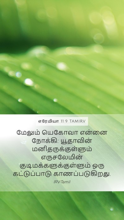 எரேமியா 11:9 TAMIRV Mobile Phone Wallpaper - மேலும் யெகோவா - Mobile Bible Verse Wallpaper