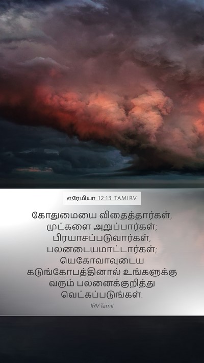 எரேமியா 12:13 TAMIRV Bible Verse Image
