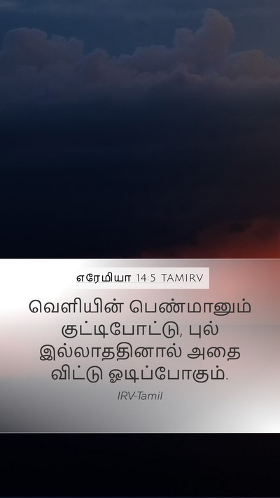 எரேமியா 14:5 TAMIRV Bible Verse Image