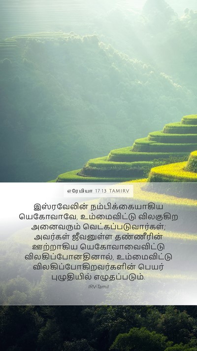 எரேமியா 17:13 TAMIRV Bible Verse Image