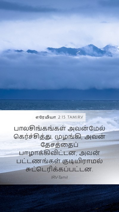 எரேமியா 2:15 TAMIRV Bible Verse Image