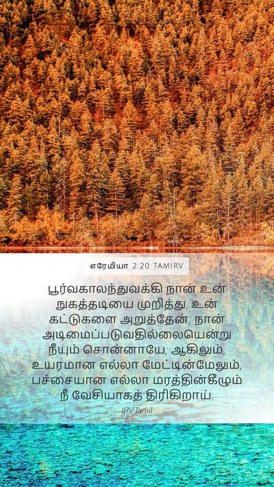 எரேமியா 2:20 TAMIRV Bible Verse Image