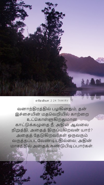 எரேமியா 2:24 TAMIRV Bible Verse Image