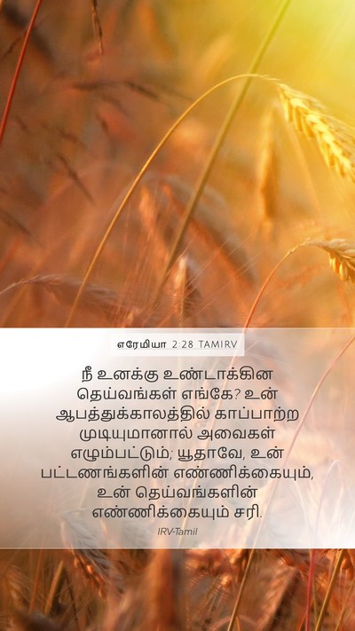 எரேமியா 2:28 TAMIRV Bible Verse Image