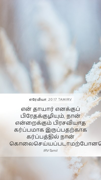 எரேமியா 20:17 TAMIRV Bible Verse Image