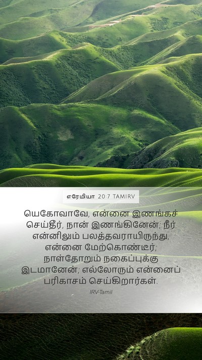 எரேமியா 20:7 TAMIRV Bible Verse Image