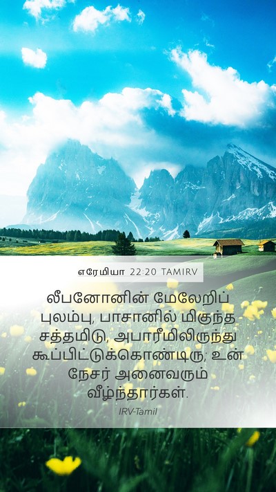 எரேமியா 22:20 TAMIRV Bible Verse Image
