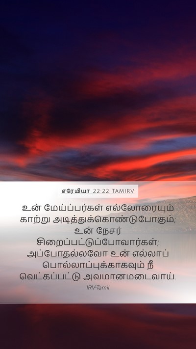 எரேமியா 22:22 TAMIRV Bible Verse Image