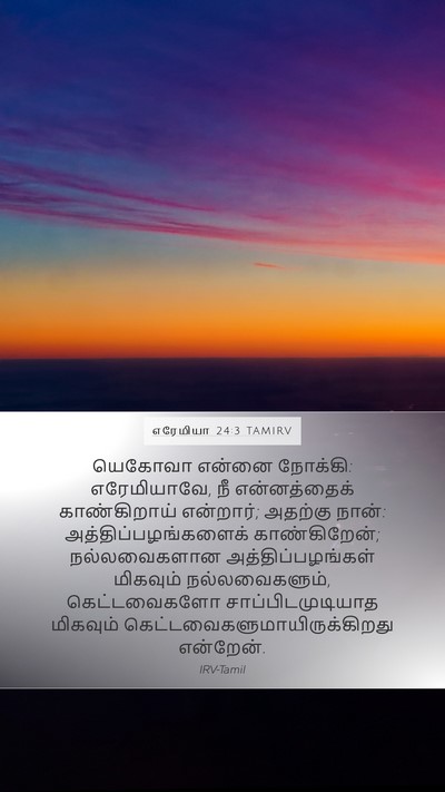 எரேமியா 24:3 TAMIRV Bible Verse Image