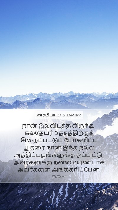 எரேமியா 24:5 TAMIRV Bible Verse Image