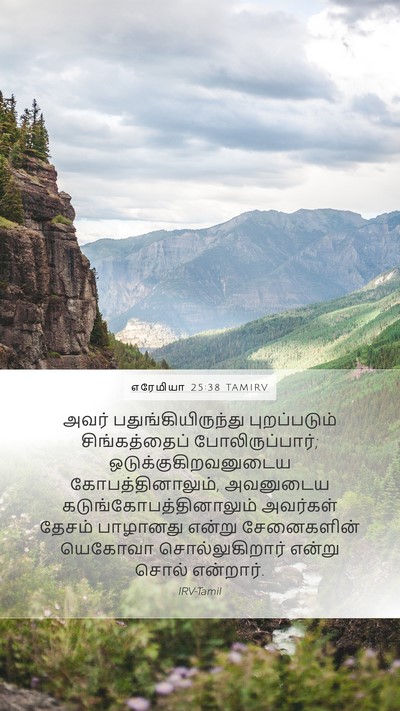 எரேமியா 25:38 TAMIRV Bible Verse Image