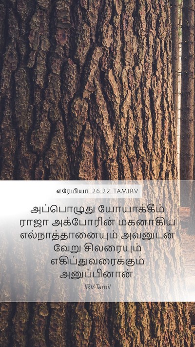எரேமியா 26:22 TAMIRV Mobile Phone Wallpaper - அப்பொழுது - Mobile Bible Verse Wallpaper