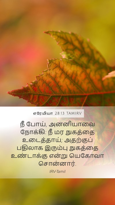 எரேமியா 28:13 TAMIRV Bible Verse Image