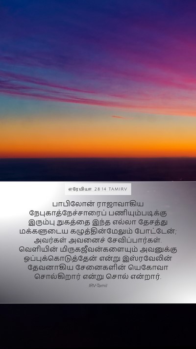 எரேமியா 28:14 TAMIRV Bible Verse Image