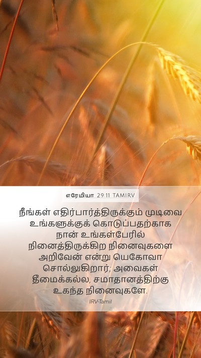 எரேமியா 29:11 TAMIRV Bible Verse Image