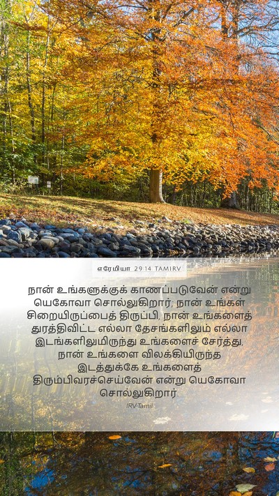 எரேமியா 29:14 TAMIRV Bible Verse Image