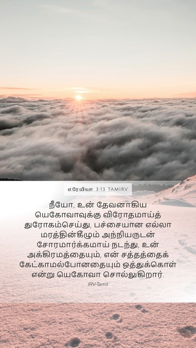 எரேமியா 3:13 TAMIRV Bible Verse Image