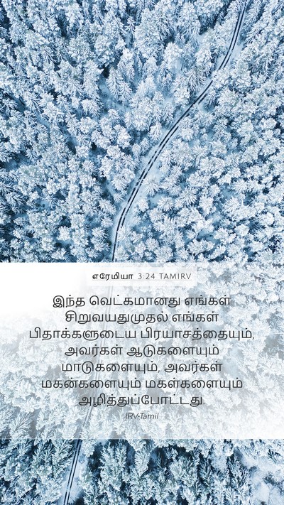 எரேமியா 3:24 TAMIRV Bible Verse Image