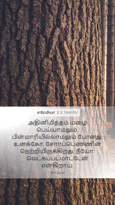 எரேமியா 3:3 TAMIRV Bible Verse Image