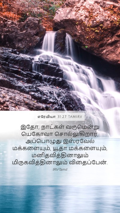 எரேமியா 31:27 TAMIRV Bible Verse Image