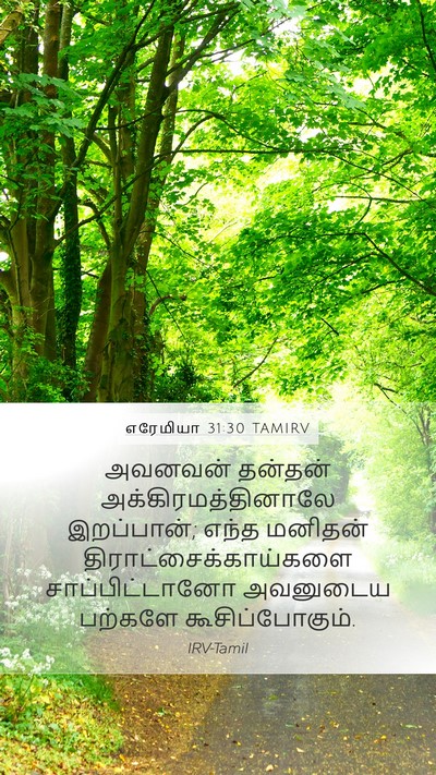 எரேமியா 31:30 TAMIRV Bible Verse Image