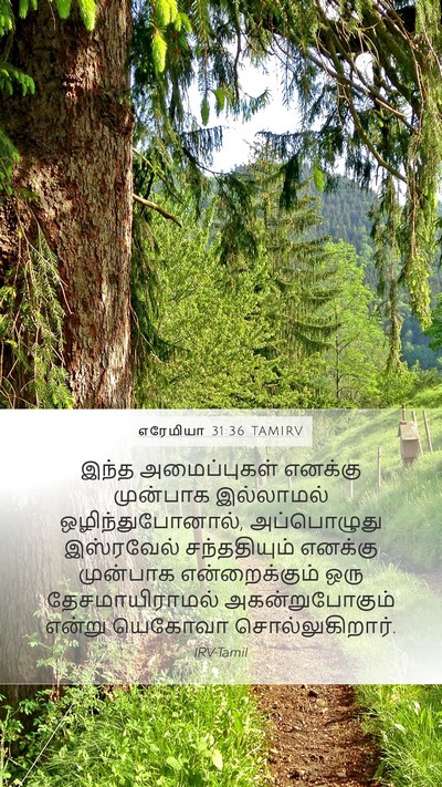எரேமியா 31:36 TAMIRV Bible Verse Image