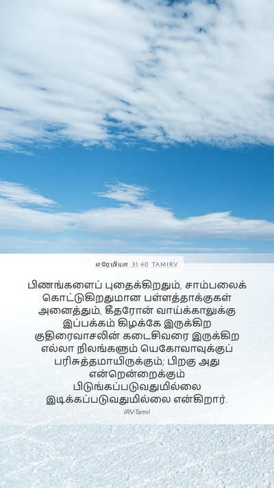 எரேமியா 31:40 TAMIRV Bible Verse Image