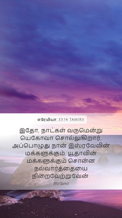 எரேமியா 33:14 TAMIRV Bible Verse Image