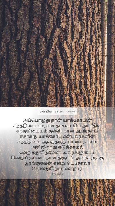எரேமியா 33:26 TAMIRV Bible Verse Image