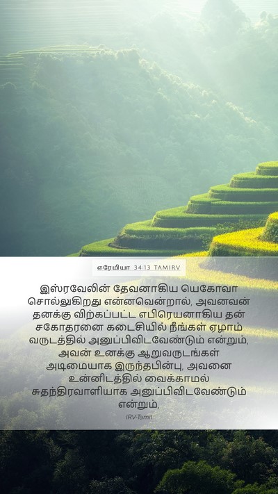 எரேமியா 34:13 TAMIRV Bible Verse Image