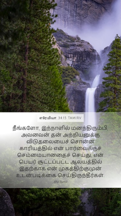 எரேமியா 34:15 TAMIRV Bible Verse Image