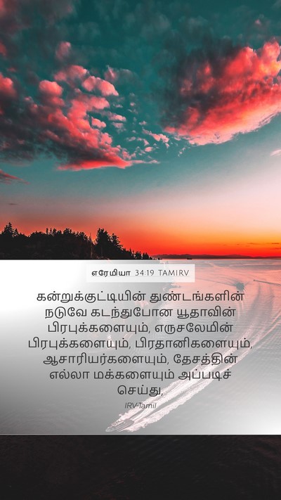 எரேமியா 34:19 TAMIRV Bible Verse Image