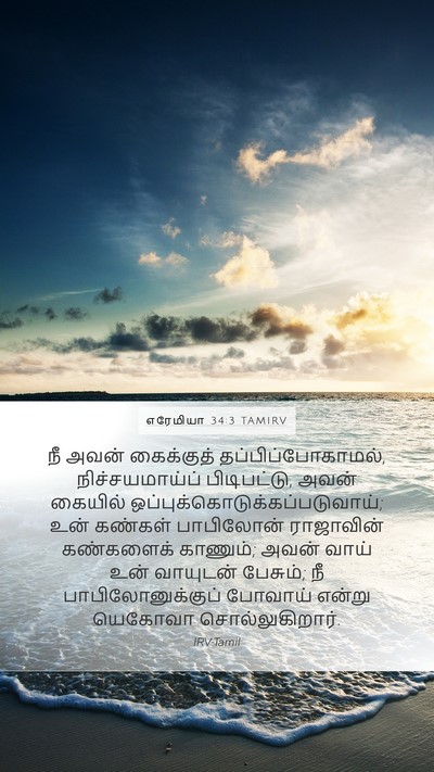 எரேமியா 34:3 TAMIRV Bible Verse Image