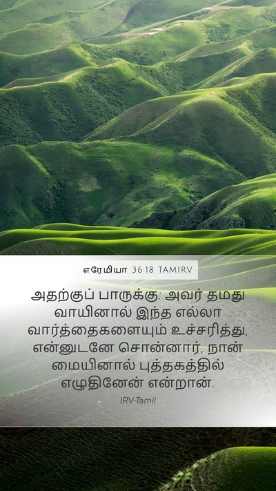 எரேமியா 36:18 TAMIRV Bible Verse Image