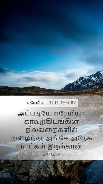 எரேமியா 37:16 TAMIRV Bible Verse Image