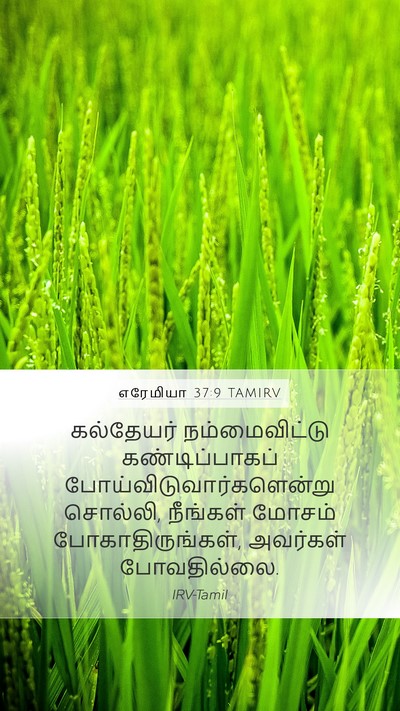 எரேமியா 37:9 TAMIRV Bible Verse Image
