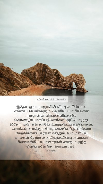 எரேமியா 38:22 TAMIRV Bible Verse Image