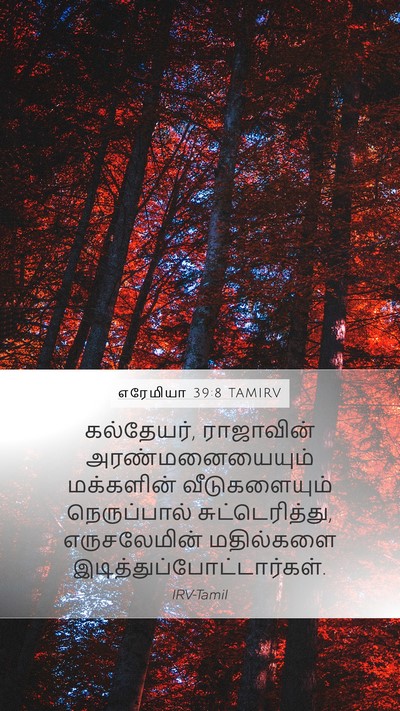 எரேமியா 39:8 TAMIRV Bible Verse Image
