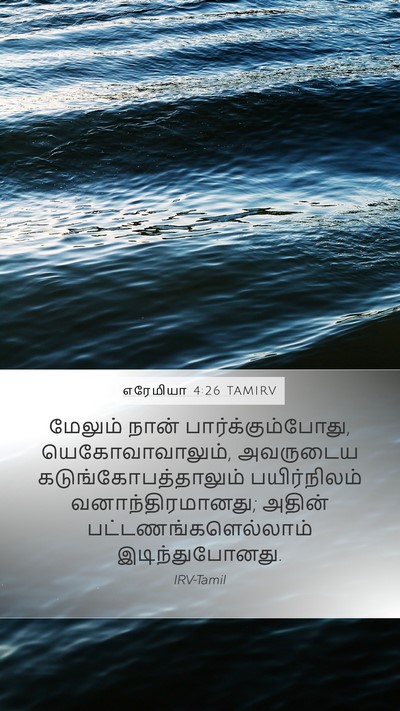 எரேமியா 4:26 TAMIRV Mobile Phone Wallpaper - மேலும் நான் - Mobile Bible Verse Wallpaper