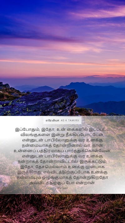 எரேமியா 40:4 TAMIRV Bible Verse Image