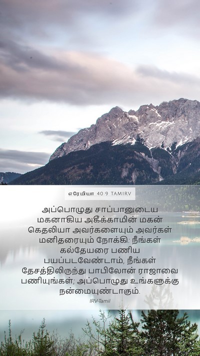 எரேமியா 40:9 TAMIRV Bible Verse Image