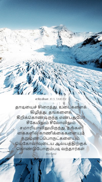 எரேமியா 41:5 TAMIRV Bible Verse Image