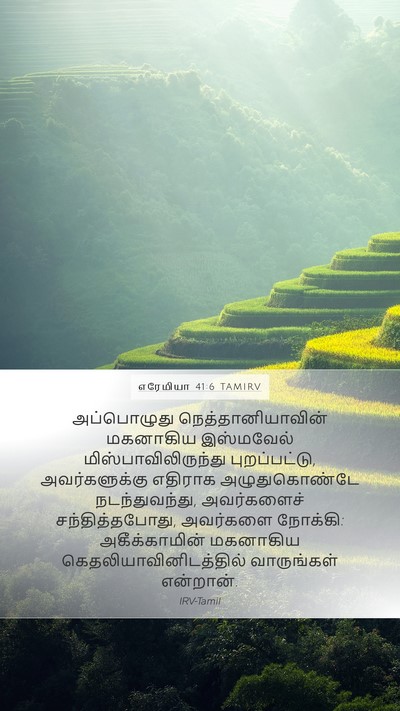 எரேமியா 41:6 TAMIRV Bible Verse Image