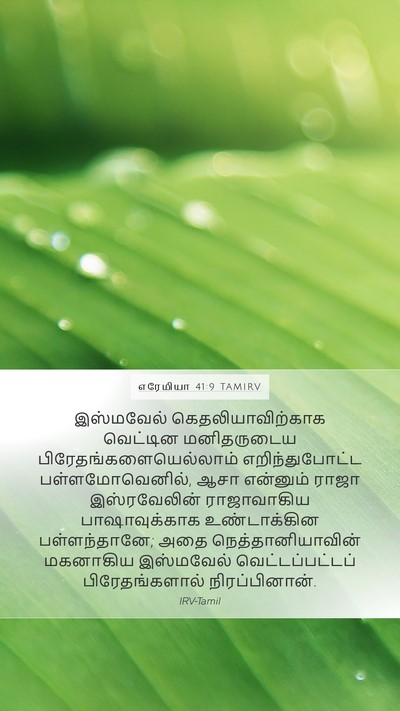 எரேமியா 41:9 TAMIRV Bible Verse Image